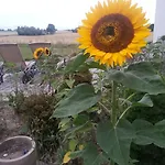 Roskilde