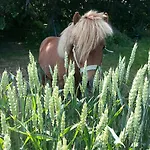Bed & Breakfast Roskilde Gadstrup