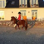 Bed & Breakfast Roskilde 2*