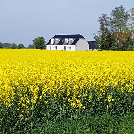 Roskilde Gadstrup