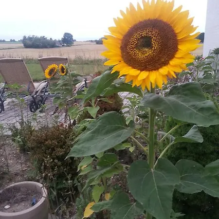 Roskilde