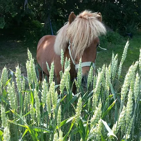 Panzió Roskilde Gadstrup