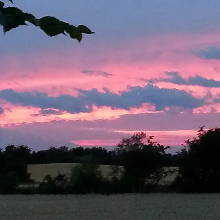 Bed & Breakfast Roskilde