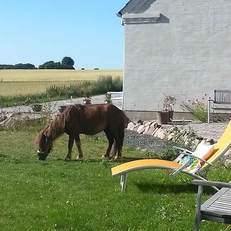 Bed & Breakfast Roskilde 2*